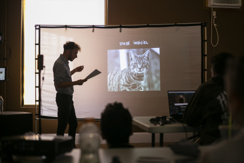 A person giving a presentation in a dimly lit room, standing to the left and reading from a paper, with an audience seated and facing a screen displaying a large image of a cat with the words "STADE INDICIEL" above it.