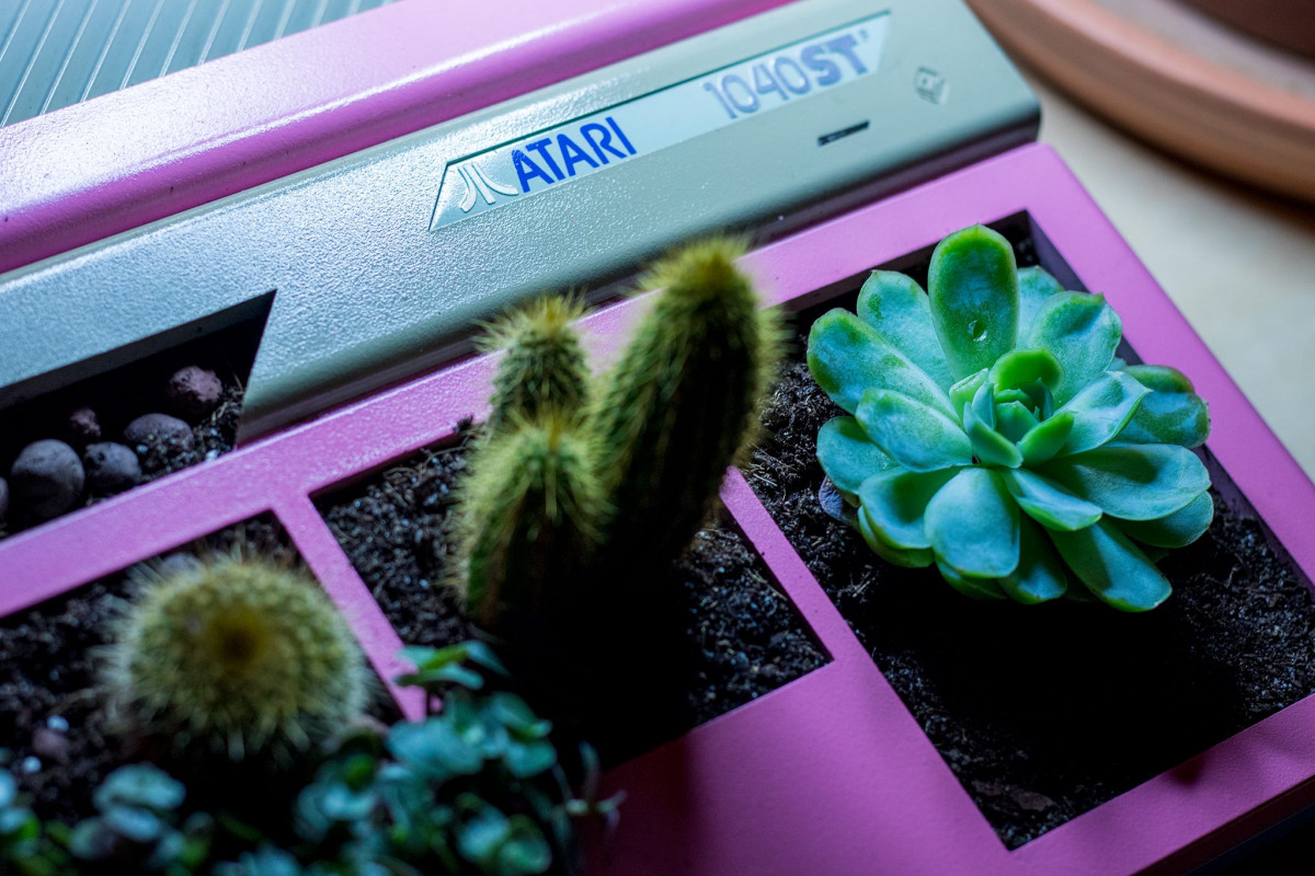 An Atari 1040ST computer repurposed as a planter box, housing a variety of small cacti and succulents.